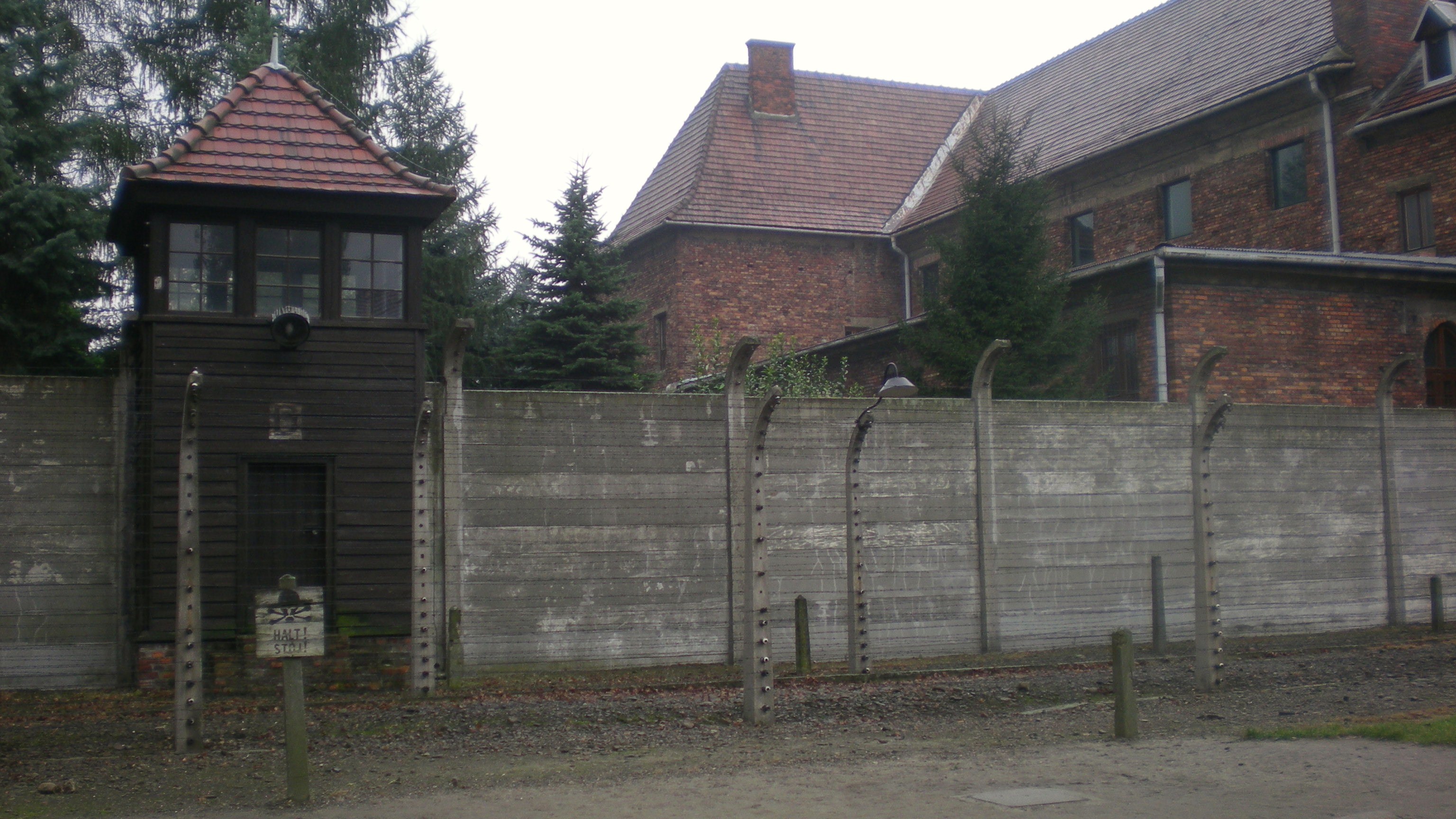 osv_1