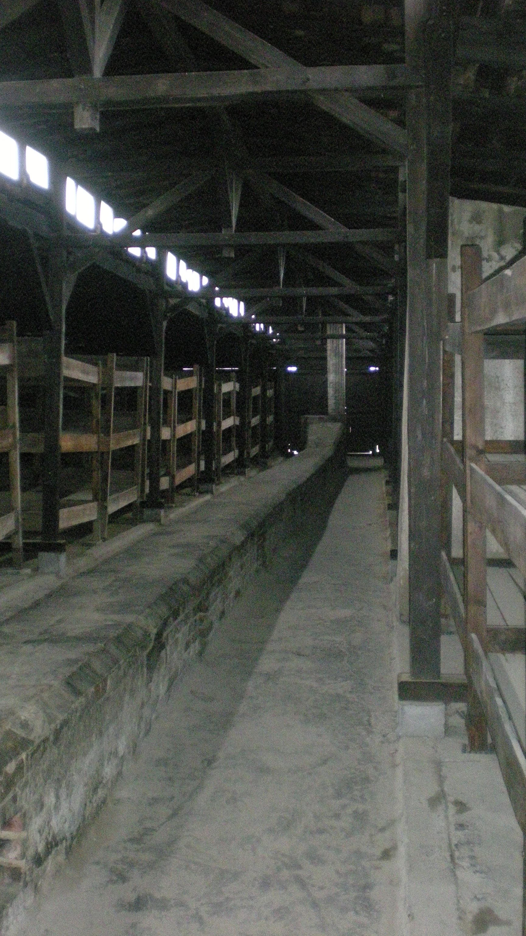 osv_3